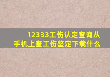 12333工伤认定查询从手机上查工伤鉴定下载什么