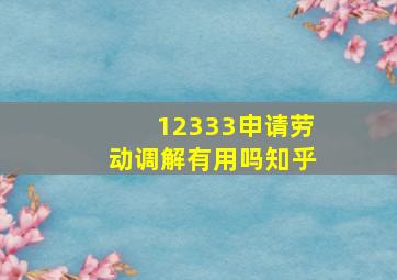 12333申请劳动调解有用吗知乎