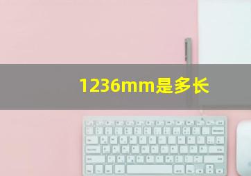 1236mm是多长