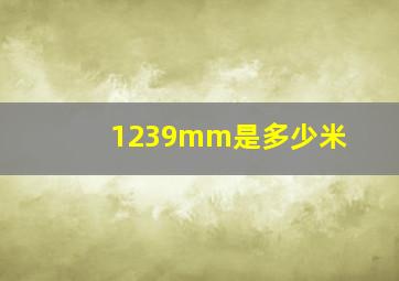 1239mm是多少米