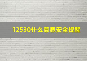 12530什么意思安全提醒