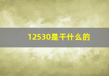 12530是干什么的