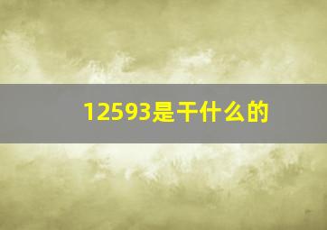 12593是干什么的