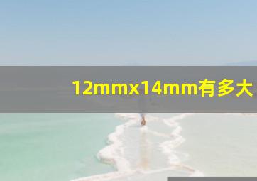 12mmx14mm有多大