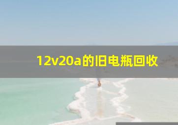 12v20a的旧电瓶回收