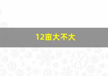 12亩大不大