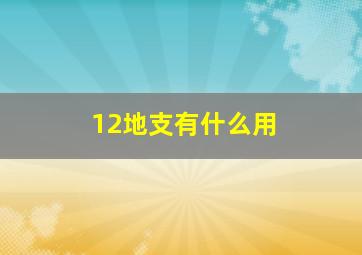 12地支有什么用