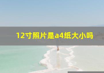 12寸照片是a4纸大小吗