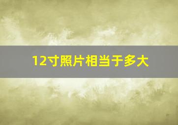 12寸照片相当于多大