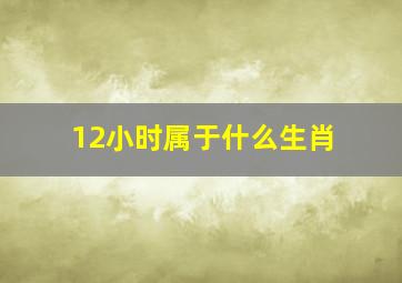 12小时属于什么生肖