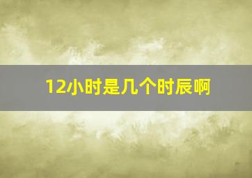 12小时是几个时辰啊