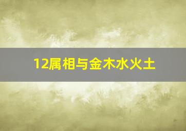 12属相与金木水火土