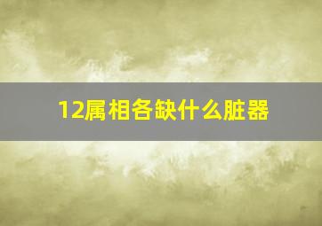 12属相各缺什么脏器