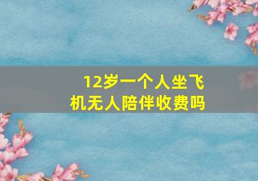 12岁一个人坐飞机无人陪伴收费吗