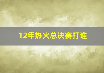 12年热火总决赛打谁