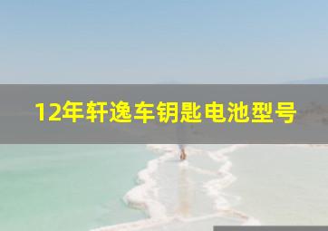 12年轩逸车钥匙电池型号