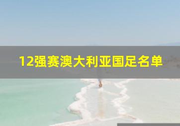 12强赛澳大利亚国足名单