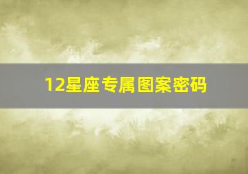 12星座专属图案密码