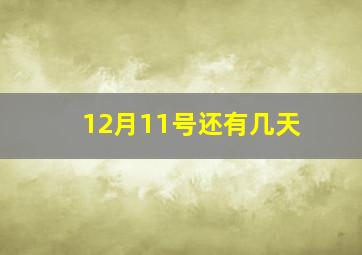 12月11号还有几天