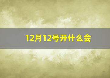 12月12号开什么会