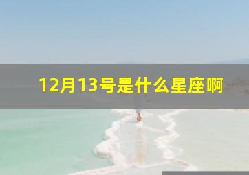 12月13号是什么星座啊