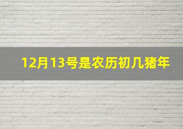 12月13号是农历初几猪年