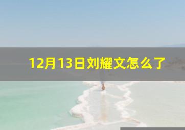 12月13日刘耀文怎么了