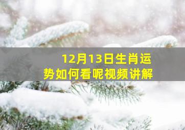 12月13日生肖运势如何看呢视频讲解