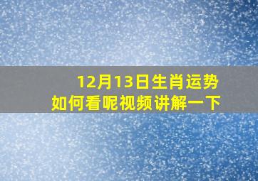 12月13日生肖运势如何看呢视频讲解一下