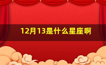 12月13是什么星座啊