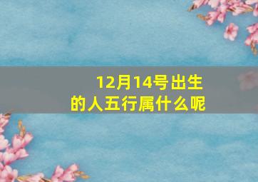 12月14号出生的人五行属什么呢