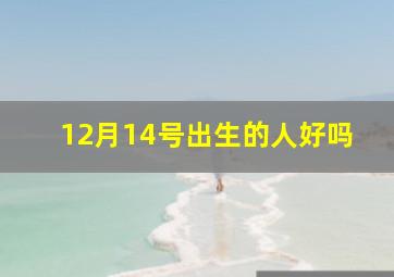 12月14号出生的人好吗