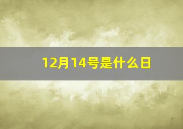 12月14号是什么日