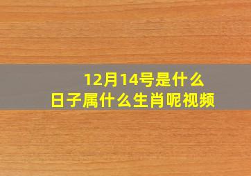 12月14号是什么日子属什么生肖呢视频