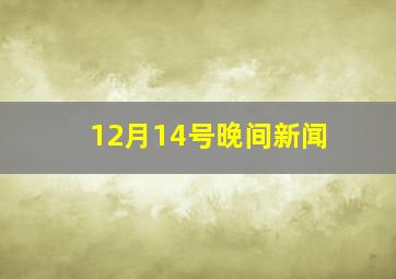 12月14号晚间新闻