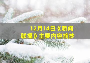 12月14日《新闻联播》主要内容摘抄