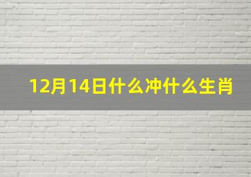 12月14日什么冲什么生肖