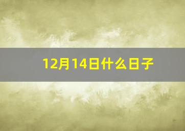 12月14日什么日子