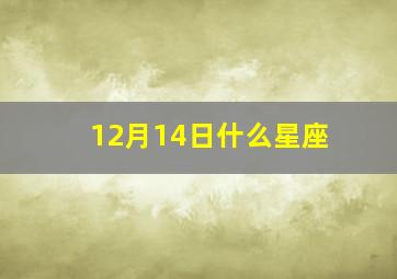 12月14日什么星座