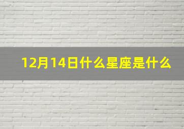 12月14日什么星座是什么