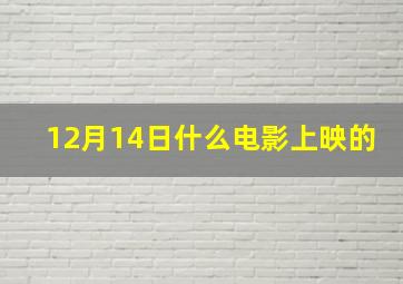 12月14日什么电影上映的