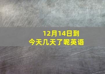 12月14日到今天几天了呢英语