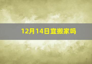 12月14日宜搬家吗