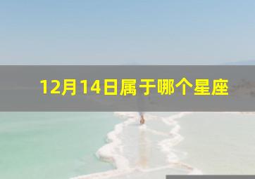 12月14日属于哪个星座