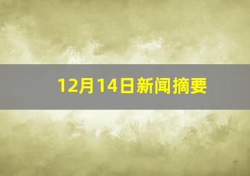 12月14日新闻摘要