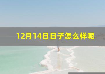 12月14日日子怎么样呢