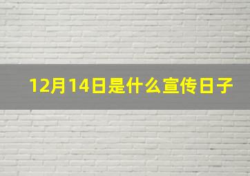 12月14日是什么宣传日子