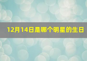 12月14日是哪个明星的生日