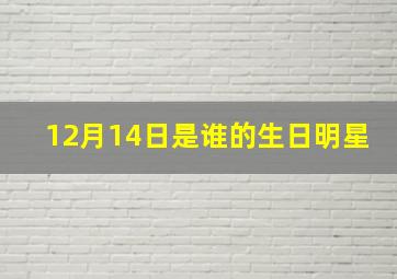 12月14日是谁的生日明星