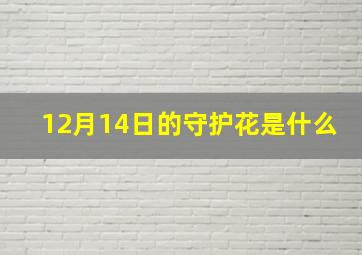 12月14日的守护花是什么